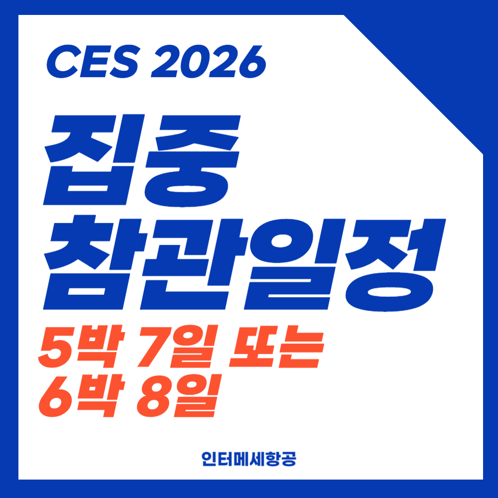 집중 참관일정